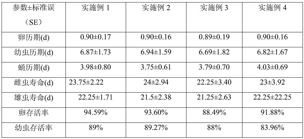 Method for artificially feeding drosophila suzukii matsumura