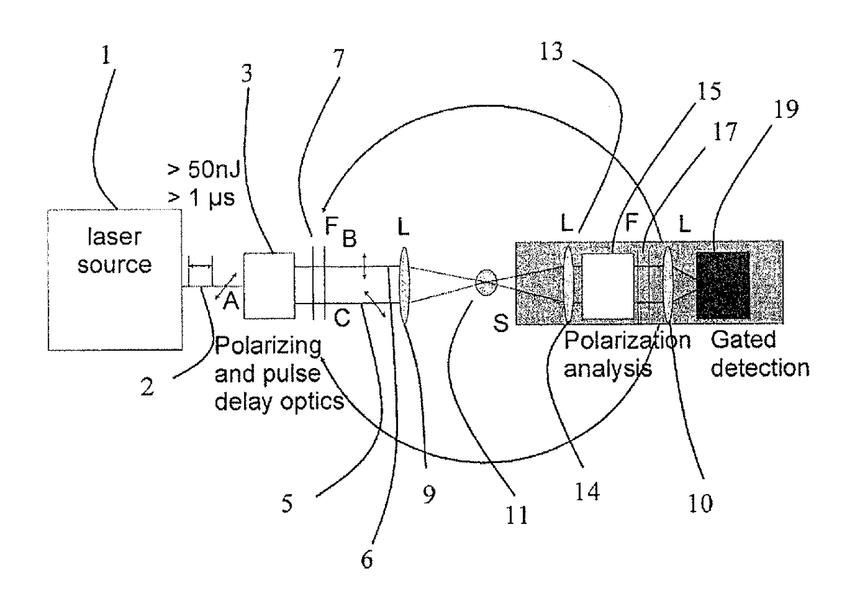 Device and method for measuring and imaging second harmonic and multi-photon generation scattered radiation