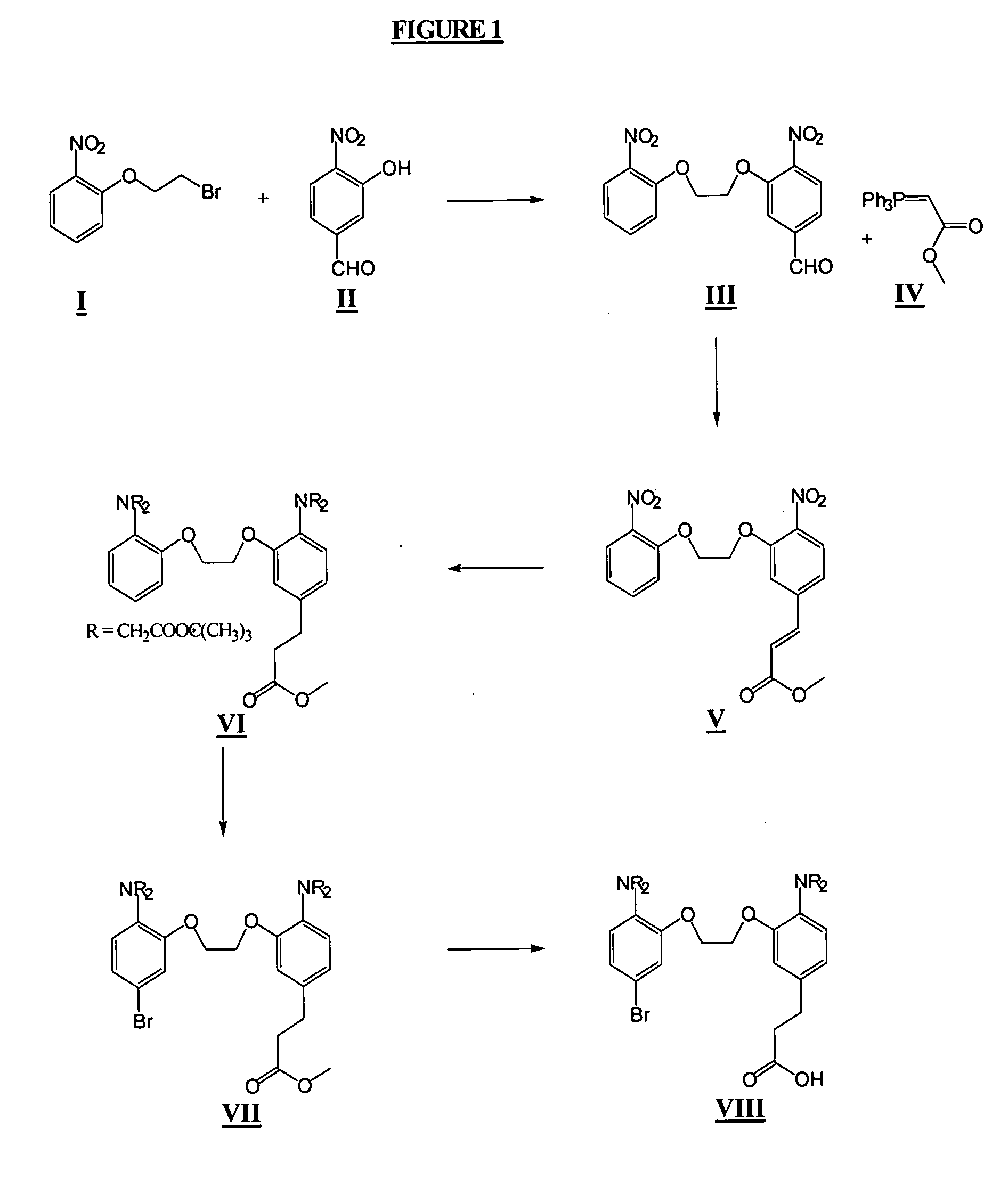 Visible wavelength fluorescent calcium indicators that are (i) leakage resistant and (ii) operate near membranes