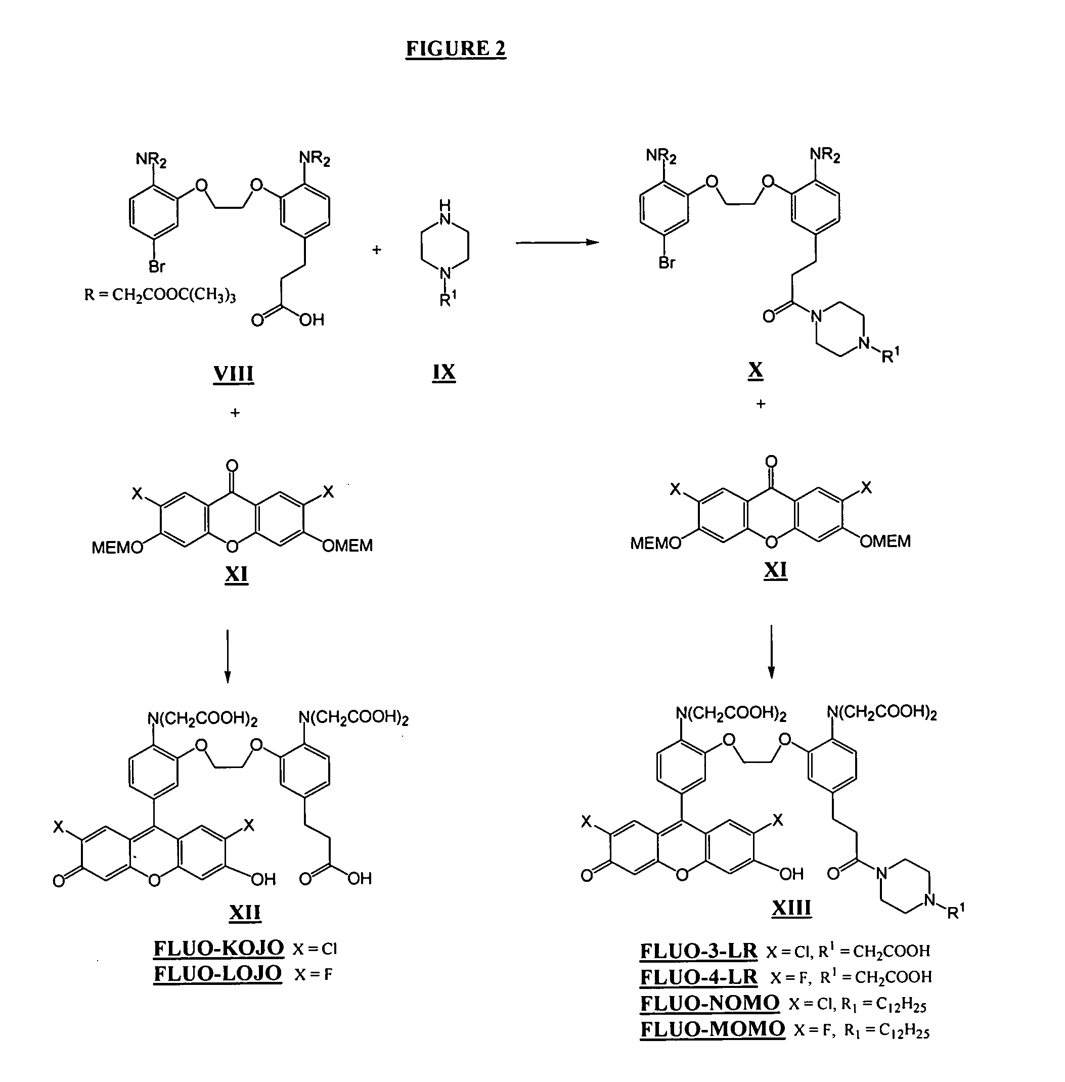 Visible wavelength fluorescent calcium indicators that are (i) leakage resistant and (ii) operate near membranes