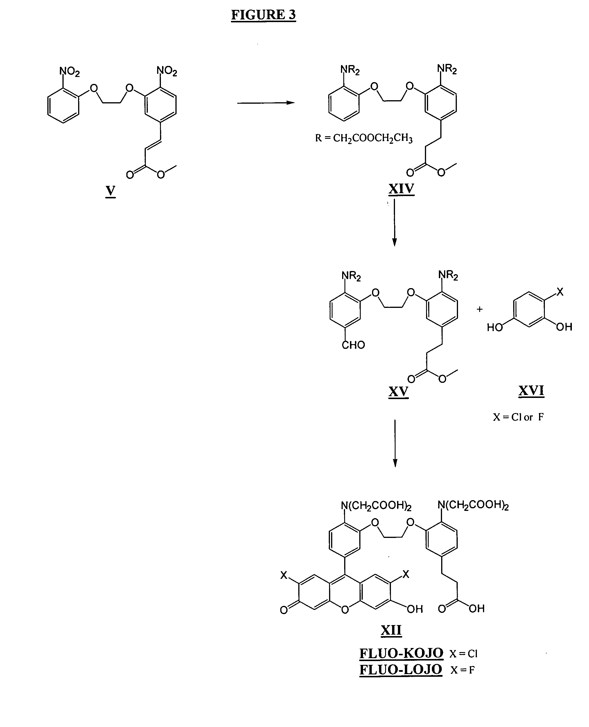 Visible wavelength fluorescent calcium indicators that are (i) leakage resistant and (ii) operate near membranes