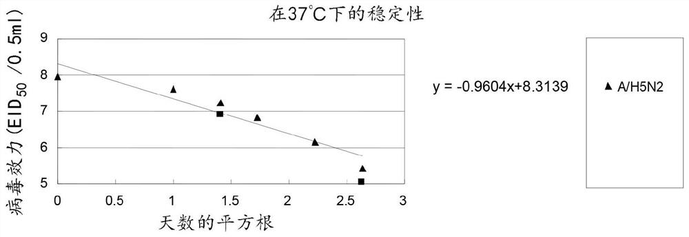 Live attenuated influenza vaccine composition and process for preparation thereof