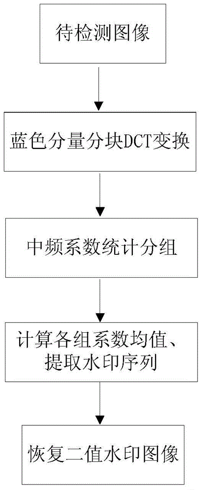 Method for preventing color image blind watermarking from being printed and scanned based on DCT coefficient statistical property