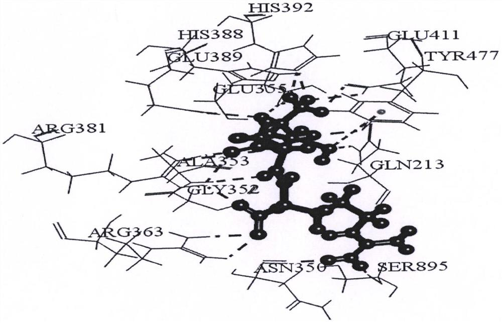 Bioactive peptides with apn inhibitory effect