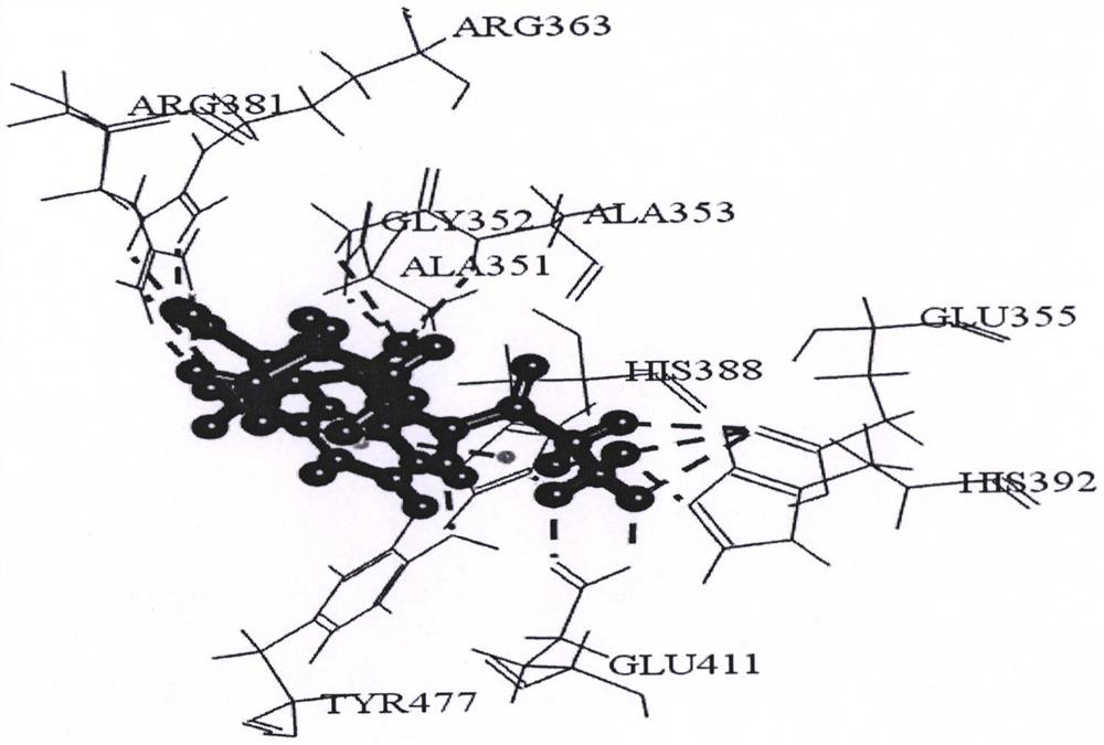 Bioactive peptides with apn inhibitory effect