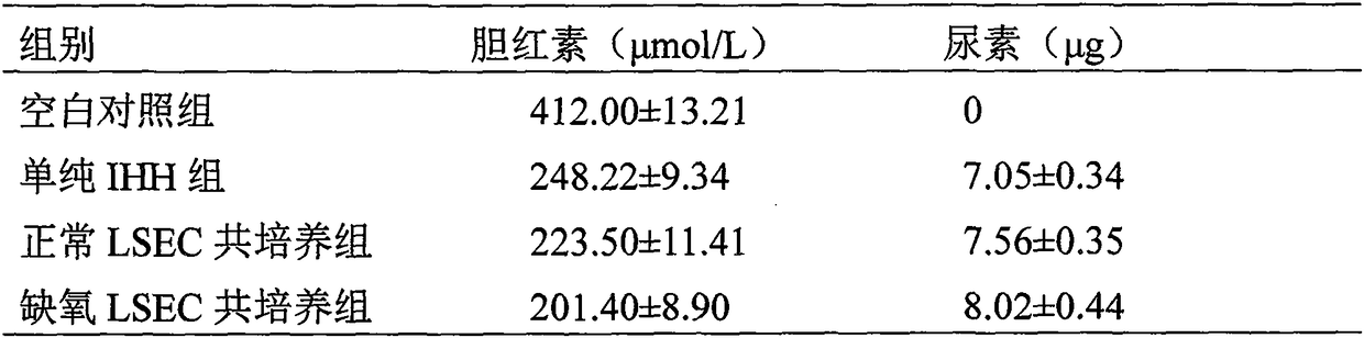 Technical method for co-cultivating hepatocytes and hepatic sinusoidal endothelial cells and application of technical method