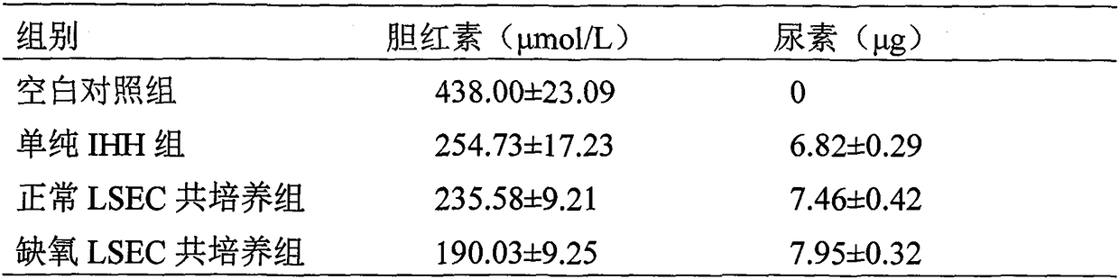 Technical method for co-cultivating hepatocytes and hepatic sinusoidal endothelial cells and application of technical method