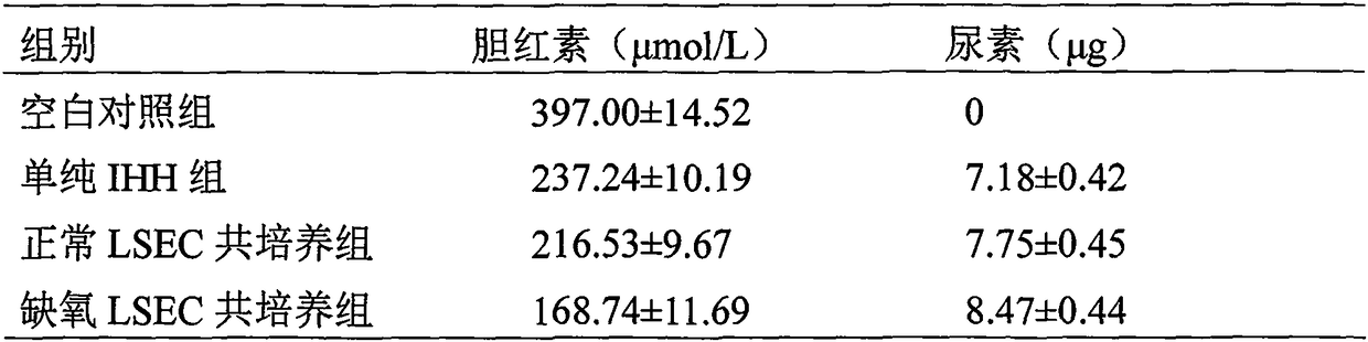 Technical method for co-cultivating hepatocytes and hepatic sinusoidal endothelial cells and application of technical method