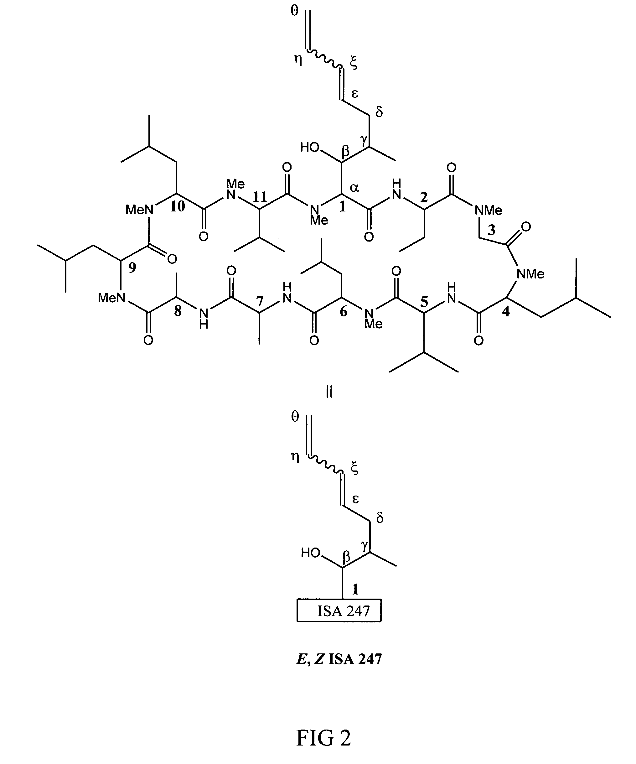 Metabolites of cyclosporin analogs