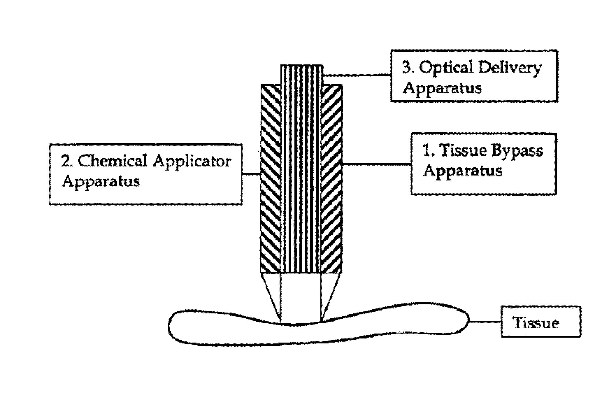 Systems and Methods to Enhance Optical Transparency of Biological Tissues for Photobiomodulation