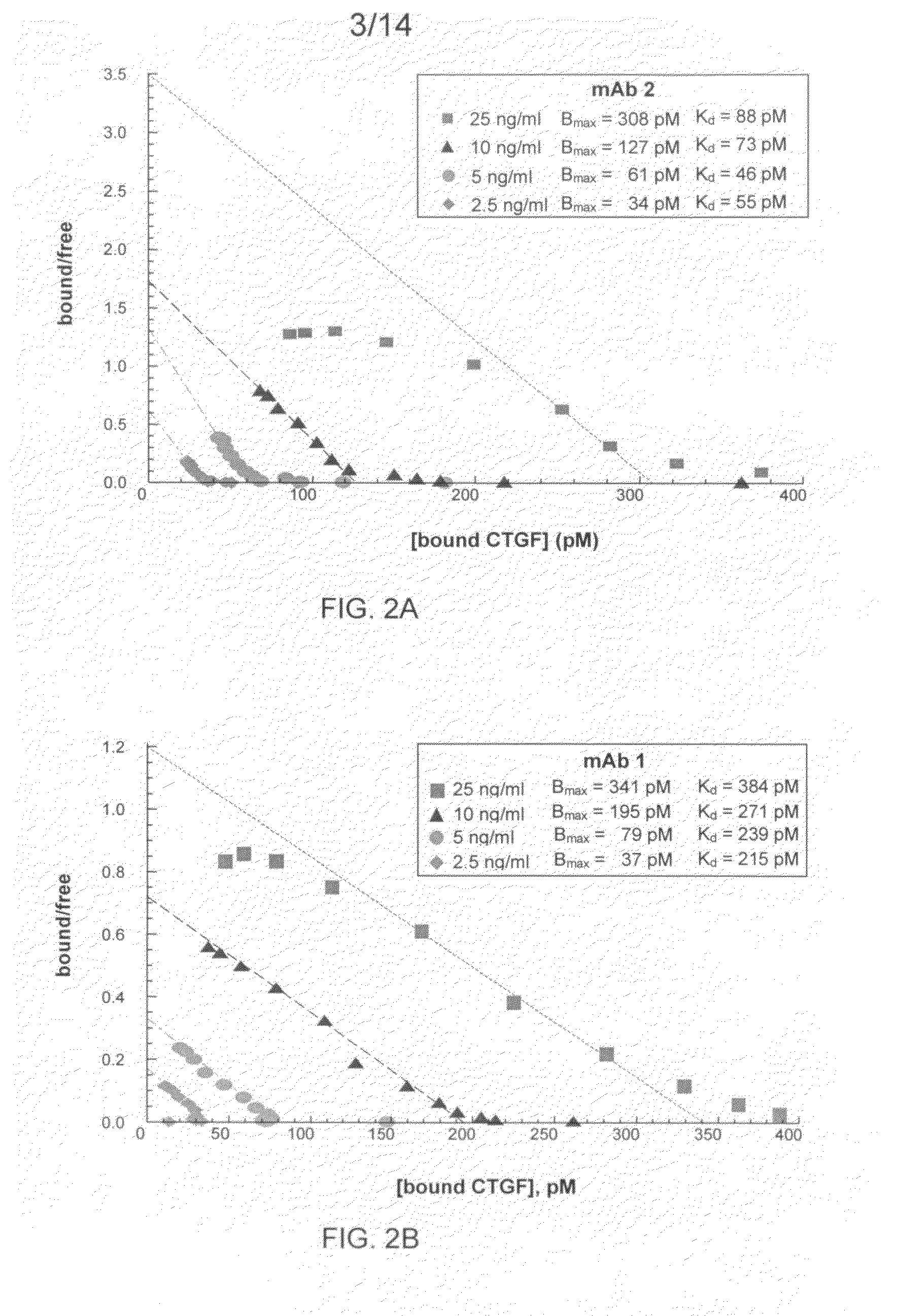 Antibodies that bind to a portion of the VWC domain of connective tissue growth factor