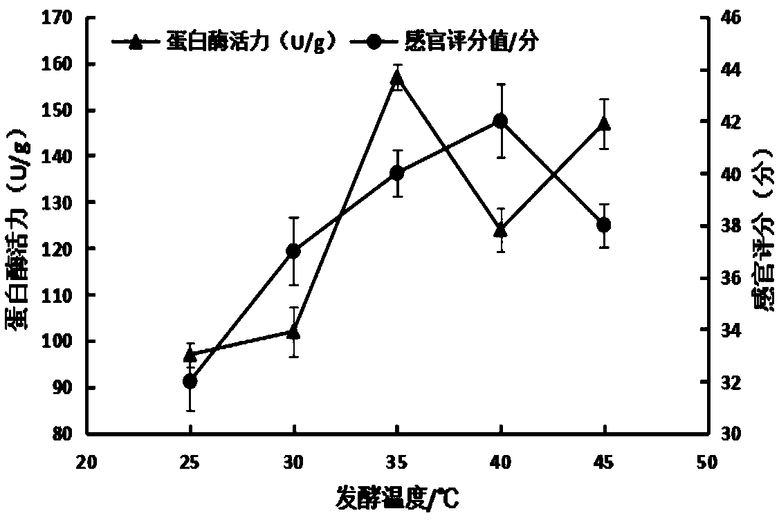 Method for decolorizing white pepper through microbial fermentation