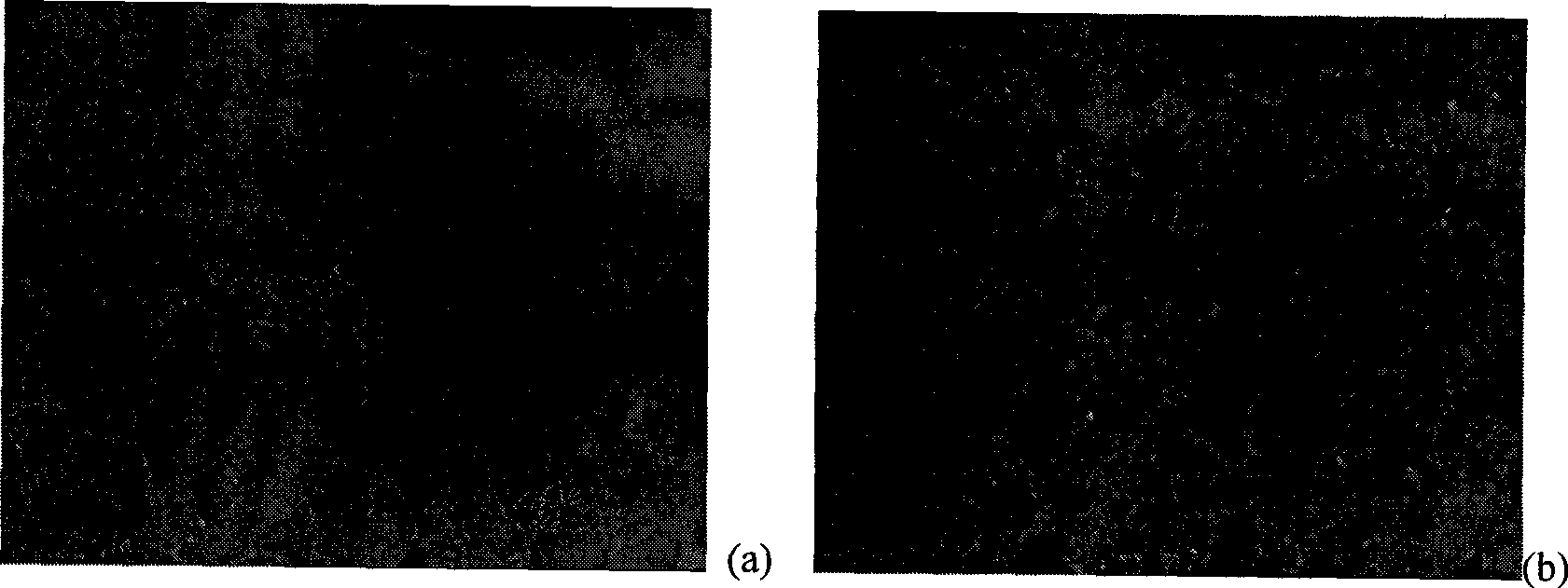 Method for preparing BaTiO3-SrTiO3 miscible ceramic powder