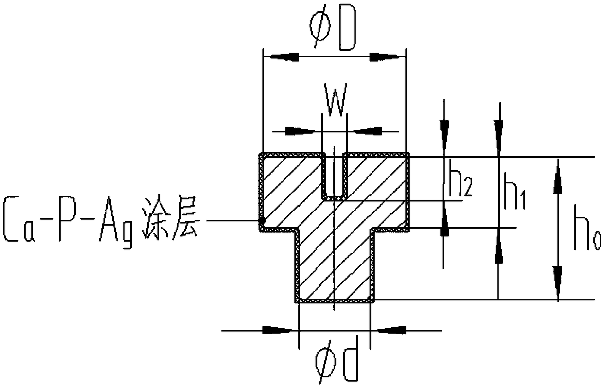 Degradable bone joining rod implanting apparatus and preparation method thereof