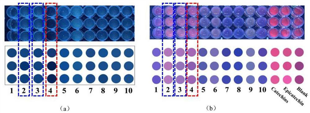 Visual identification method for lily quality