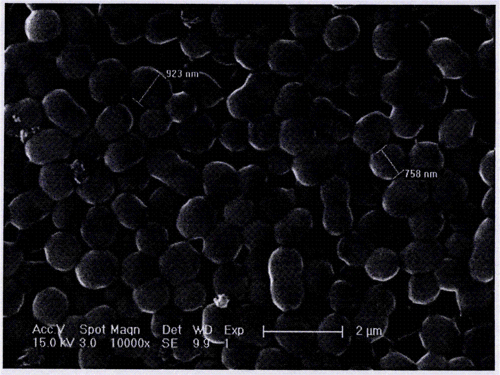 Rhodococcus DSH capable of degrading environmental hormone bisphenol A, and applications thereof