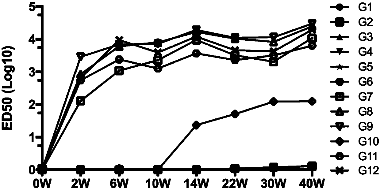 New coronavirus vaccine based on chimpanzee adenovirus type 68 and MERS-CoV full length membrane protein