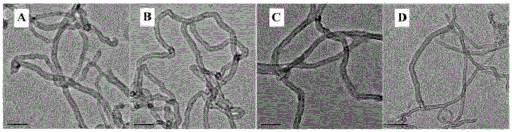 Drug-carrying TAT-CS modified carbon nanotube and preparation method and application thereof