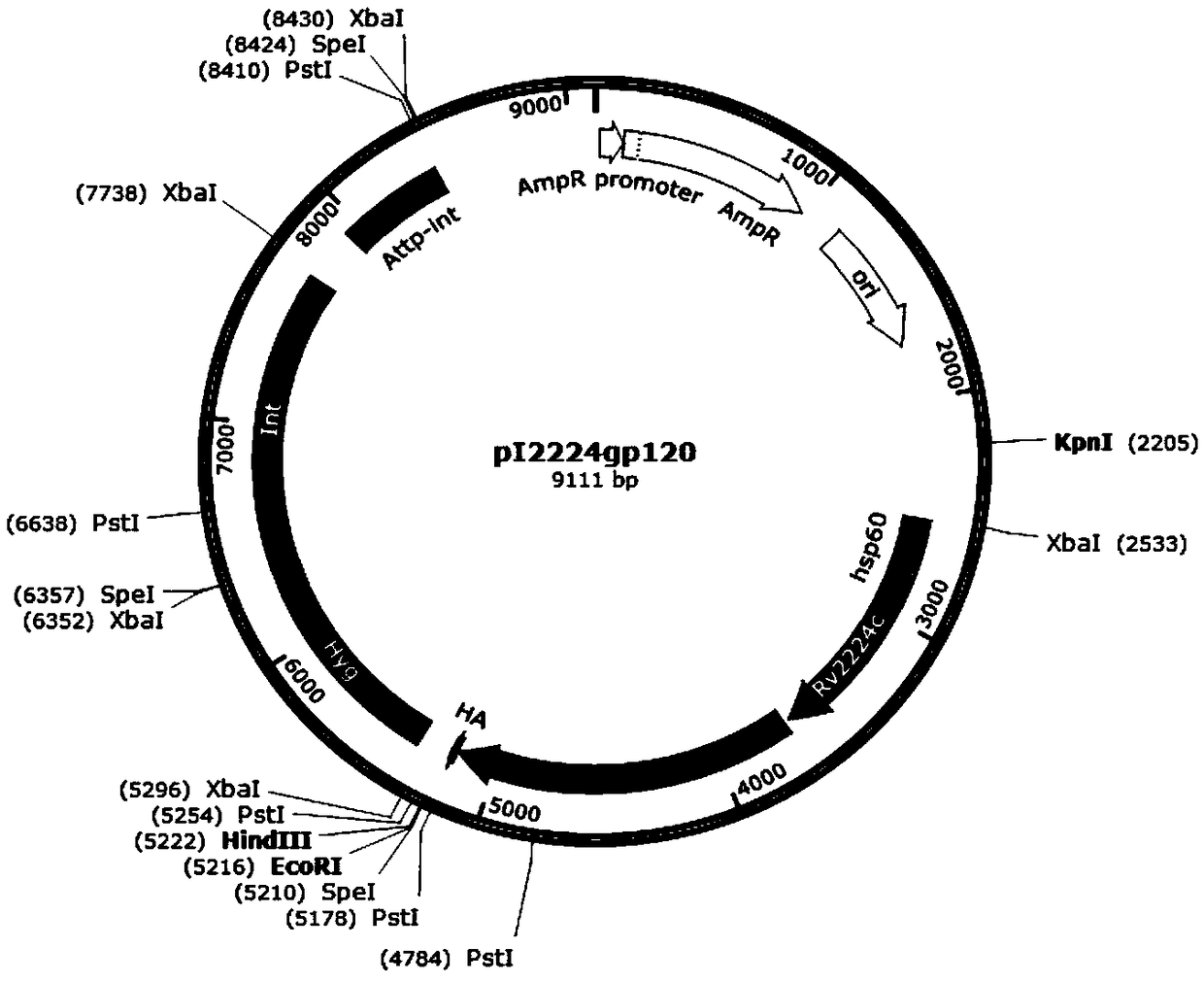 AIDS vaccine and preparation method thereof