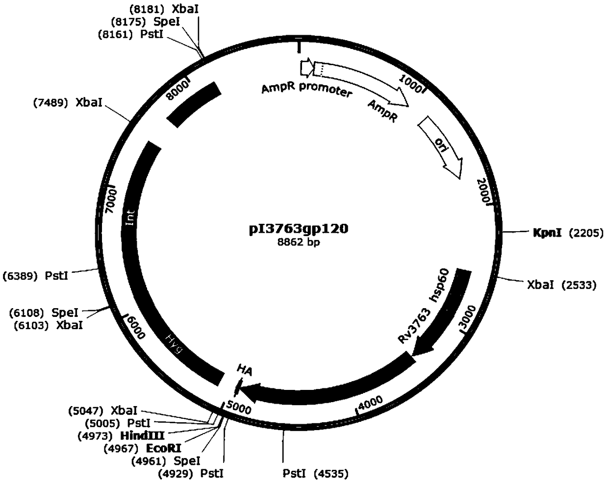 AIDS vaccine and preparation method thereof