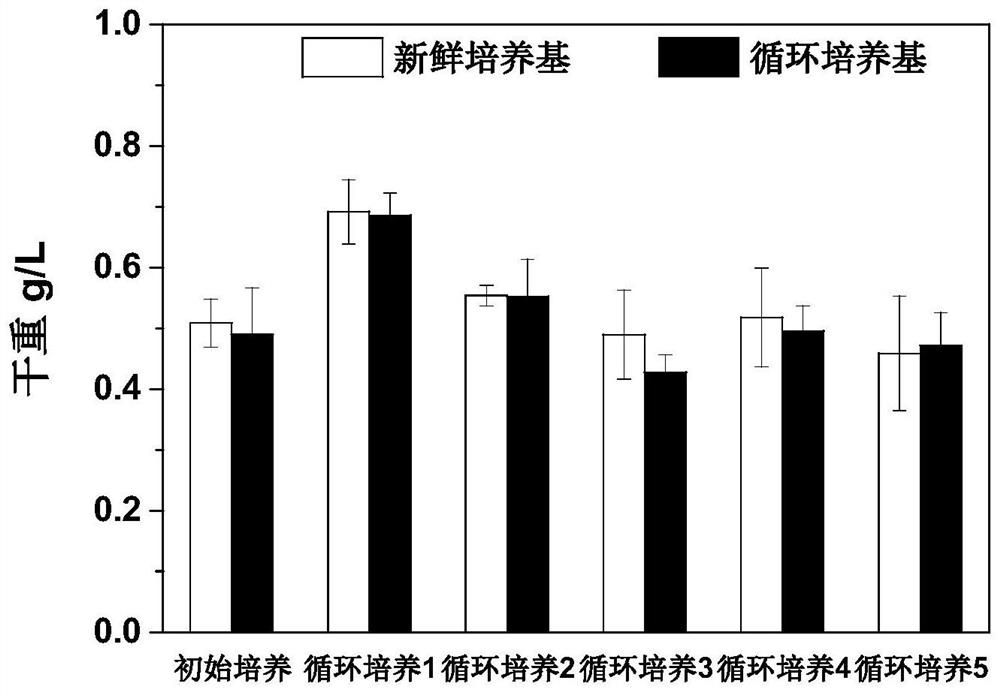 A method for alkali flocculation harvesting and circular culture of microalgae