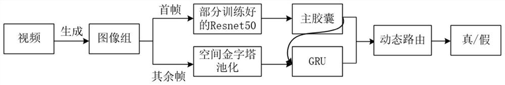 Deepfake video detection method based on image group and two-stream network