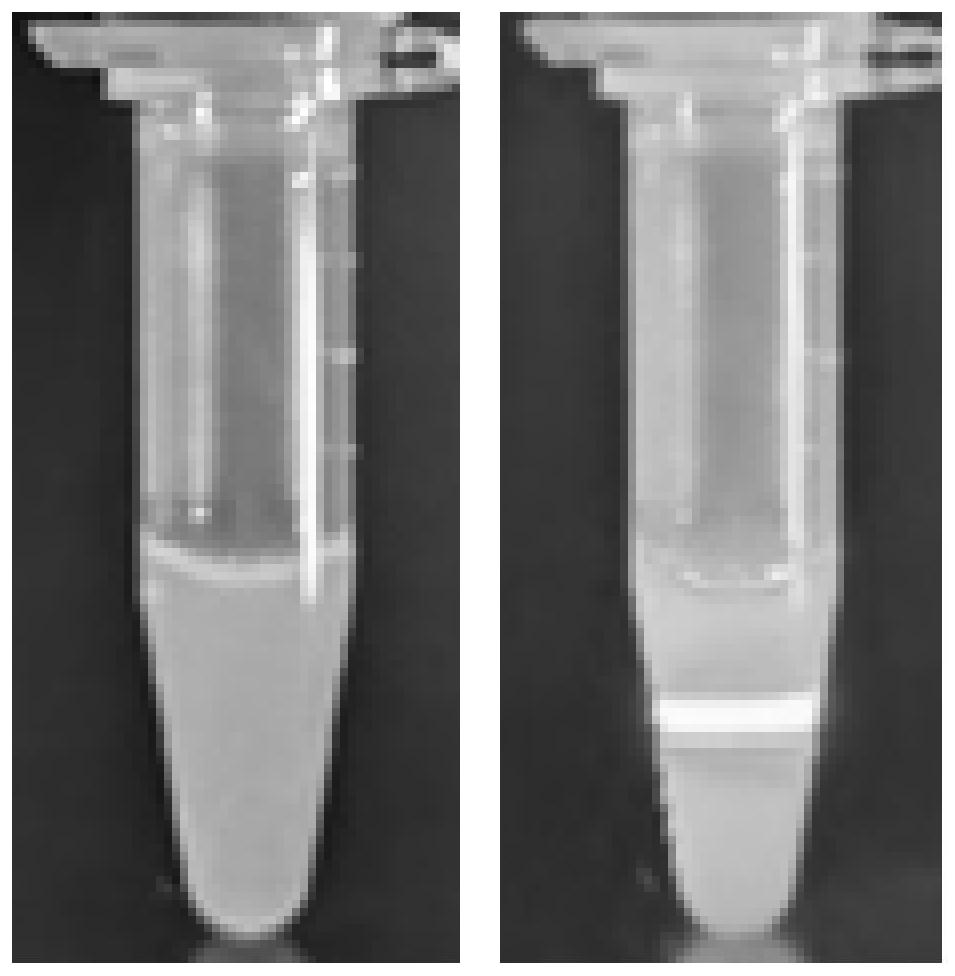 A kind of self-assembled nano medicine and its preparation method and application