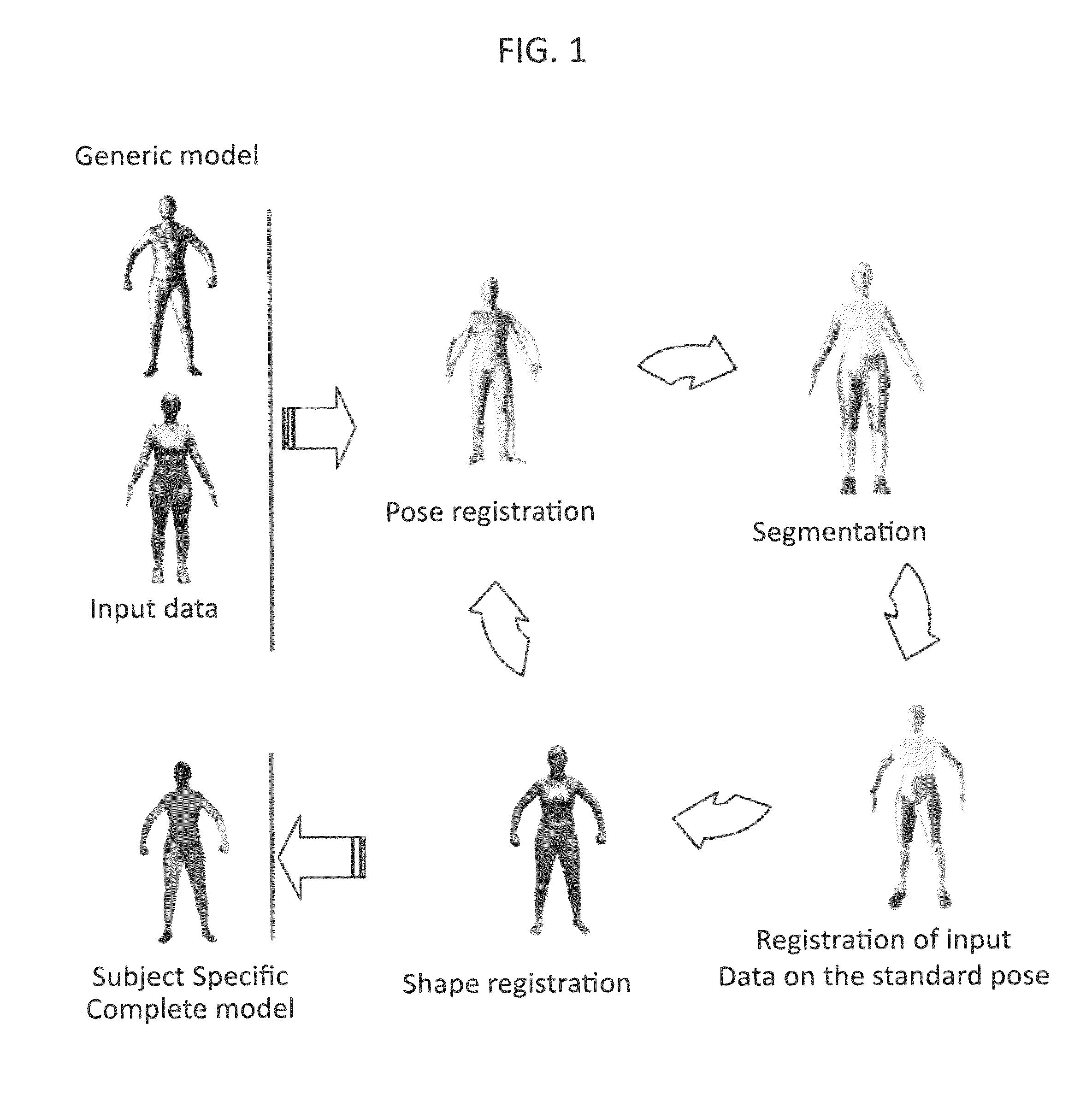 Automatic generation of human models for motion capture, biomechanics and animation