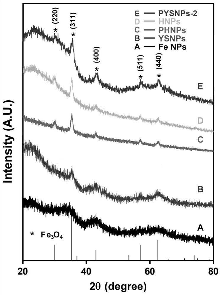 Preparation method and application of zero-valent iron delivery nanoparticles