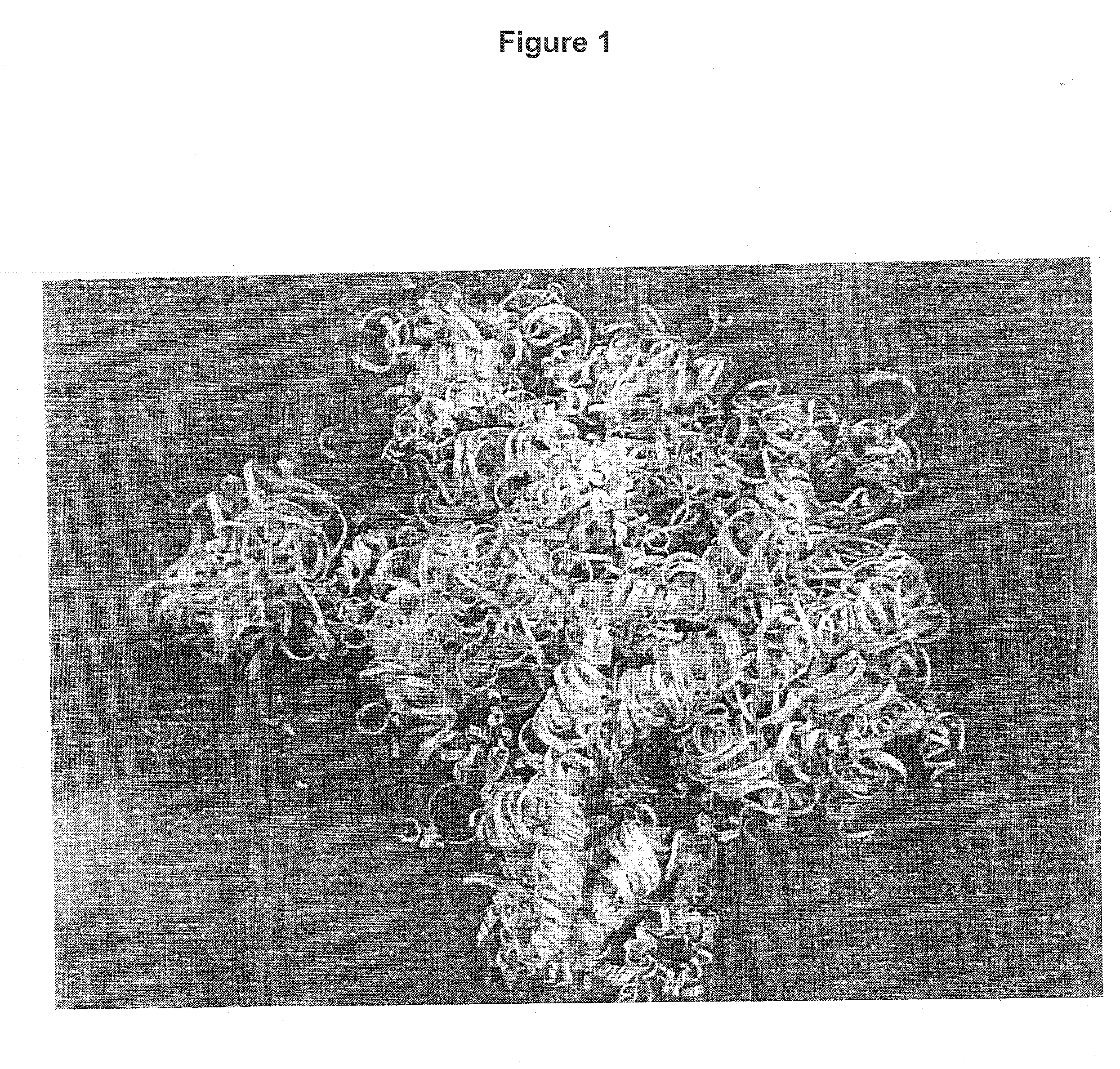 Device and Process for Producing Fiber Products and Fiber Products Produced Thereby