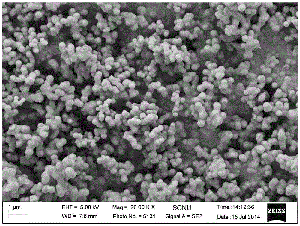 Spherical composite positive pole material for lithium sulfur battery and preparation method and application of spherical composite positive pole material