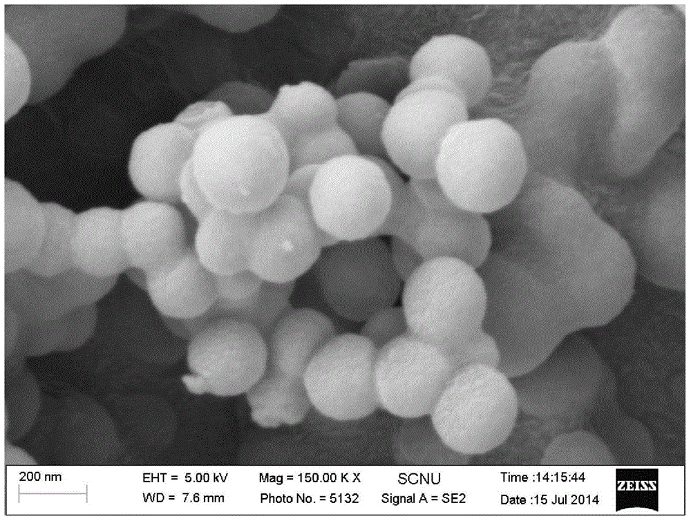 Spherical composite positive pole material for lithium sulfur battery and preparation method and application of spherical composite positive pole material