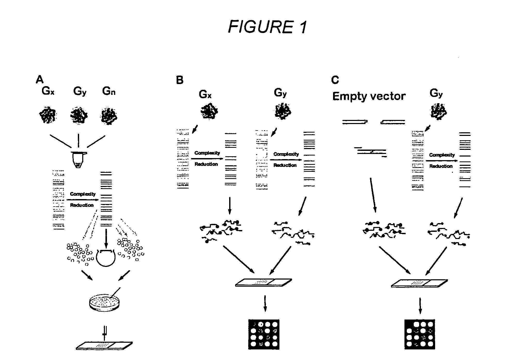 Methods for genotyping by hybridization analysis