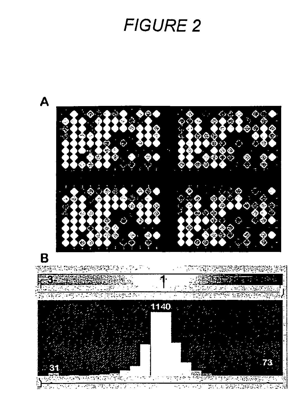 Methods for genotyping by hybridization analysis