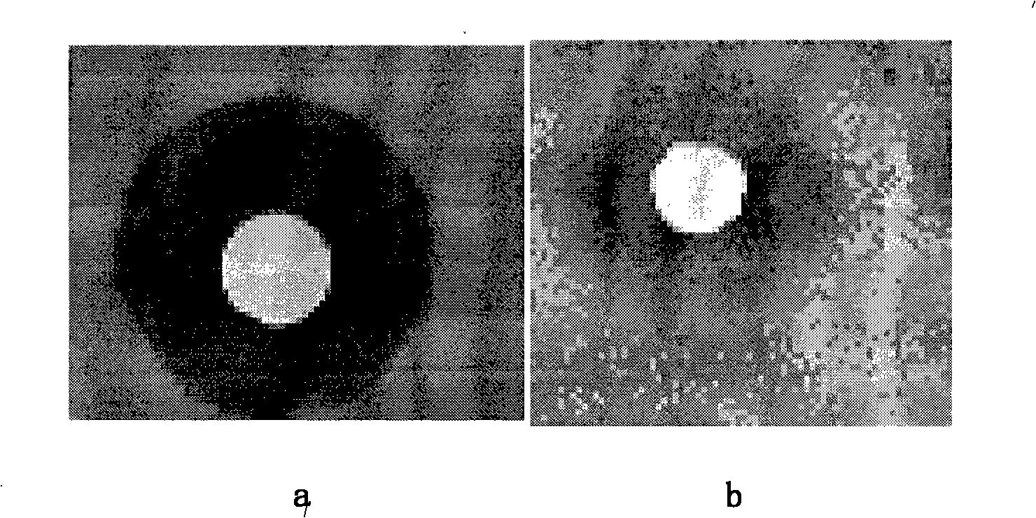 Method for processing nano-function textile