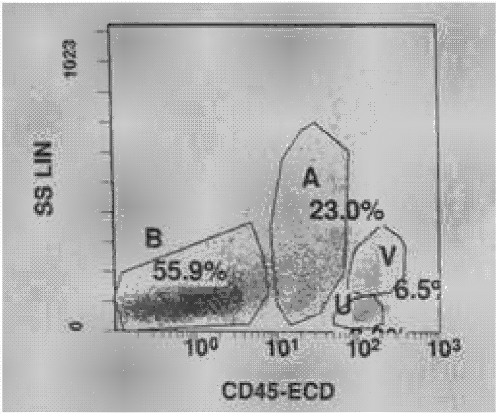 CD117-based chimeric antigen receptor (CAR) and application thereof