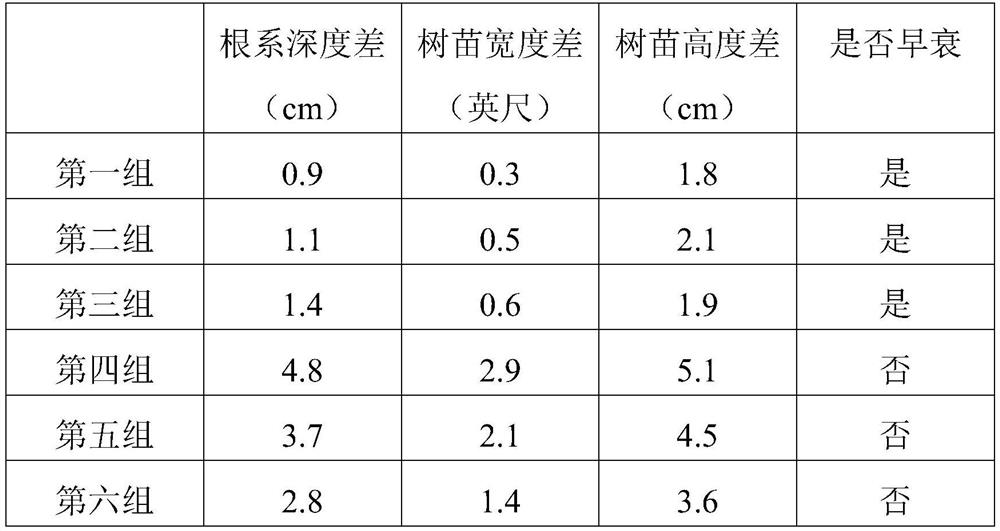 Macadamia nut green peel matrix organic fertilizer and preparation method thereof