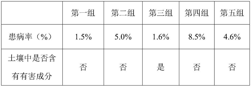 Macadamia nut green peel matrix organic fertilizer and preparation method thereof