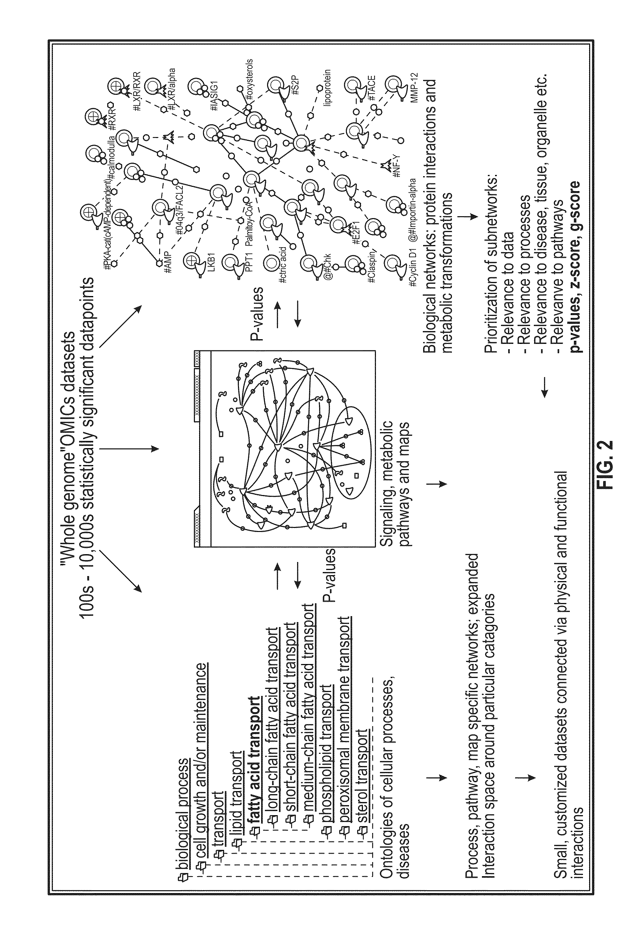 Methods for functional analysis of high-throughput experimental data and gene groups identified therefrom