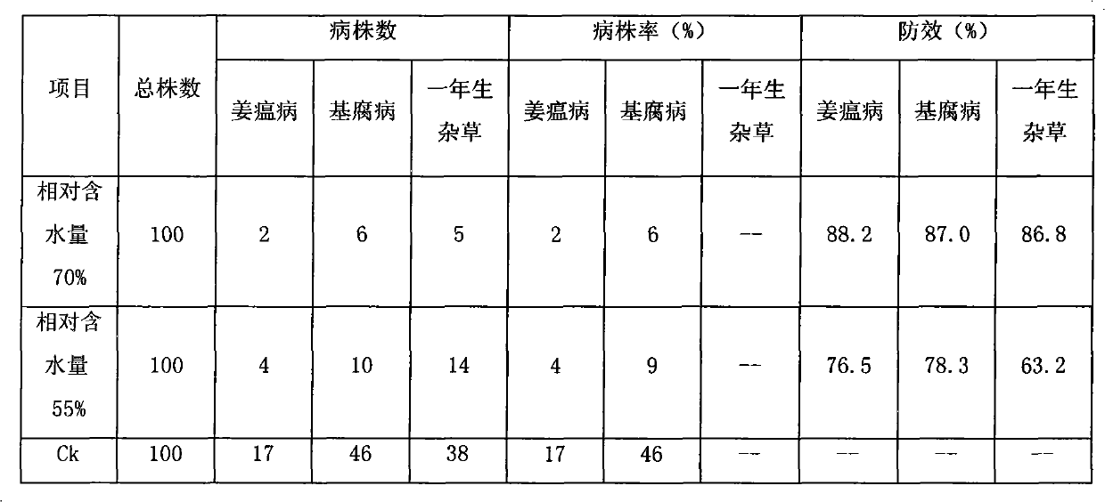 Special method for applying 98% of Longxin dazomet microgranule