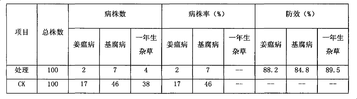 Special method for applying 98% of Longxin dazomet microgranule