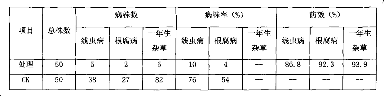 Special method for applying 98% of Longxin dazomet microgranule