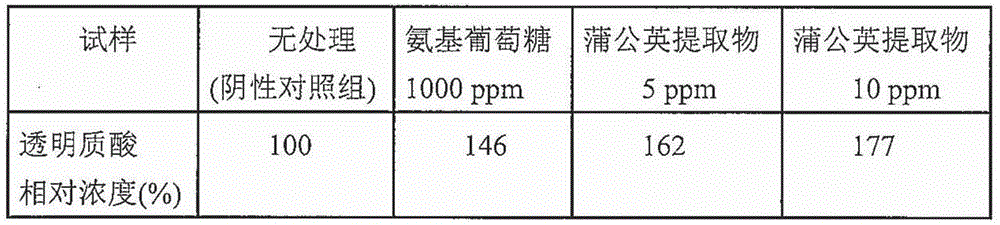 Composition for promoting synthesis of hyaluronic acid comprising Taraxacum herbs extracts and the use thereof