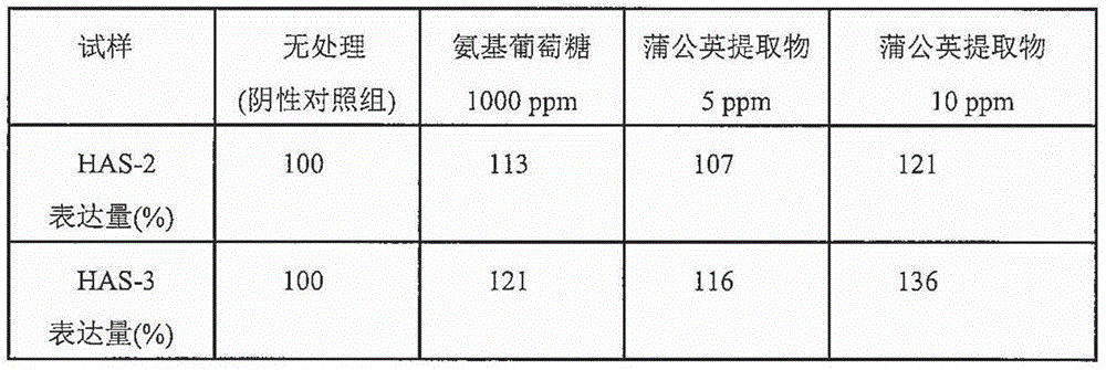 Composition for promoting synthesis of hyaluronic acid comprising Taraxacum herbs extracts and the use thereof