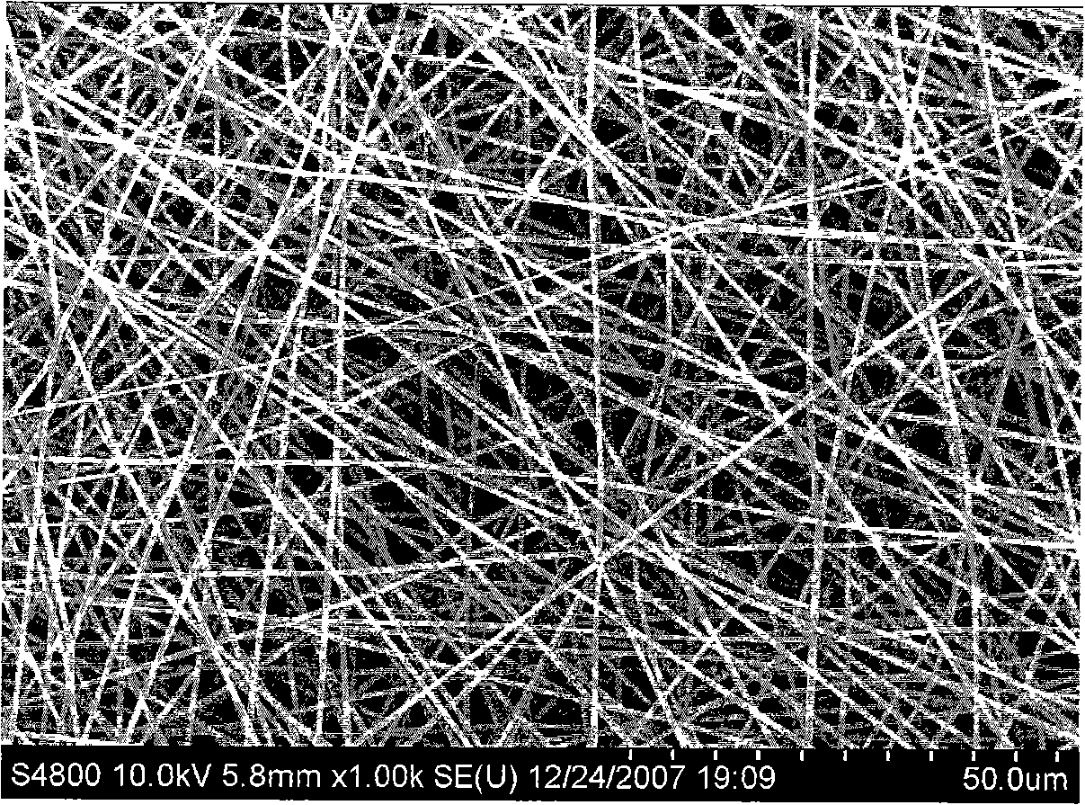 Apparatus for preparing macromolecule nano-fibre and spinning method thereof