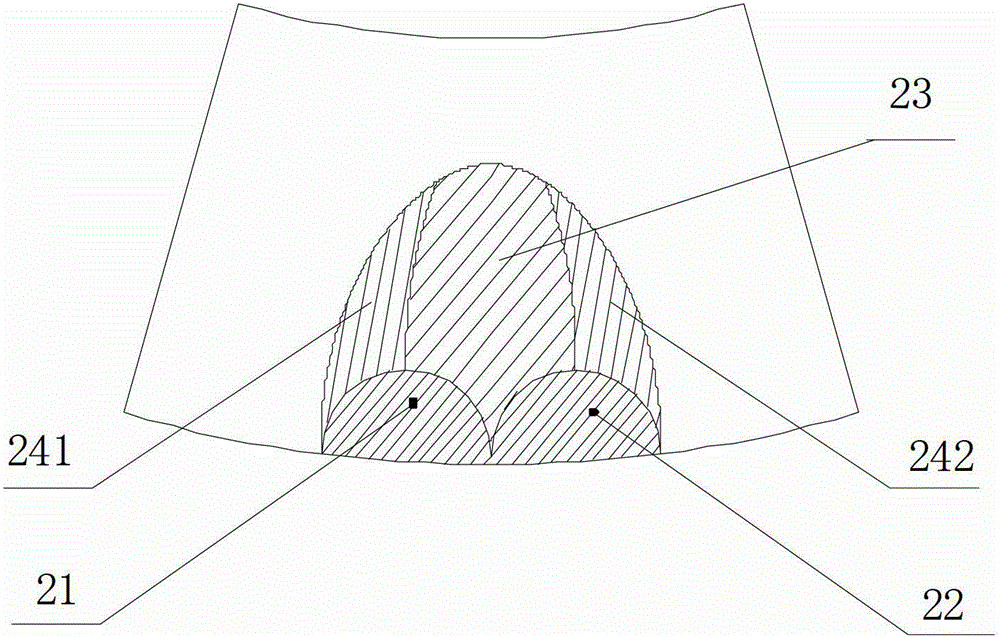 Imitation shark skin streamlined groove end face mechanical seal structure