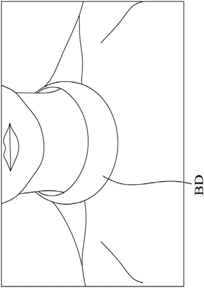 Physiological signal sensing device