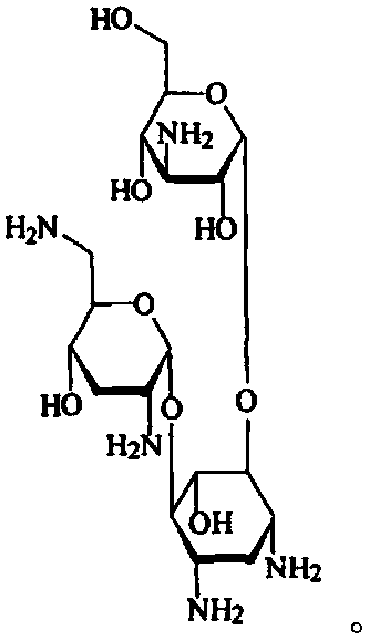 A kind of tobramycin inhalation composition and its preparation method and application