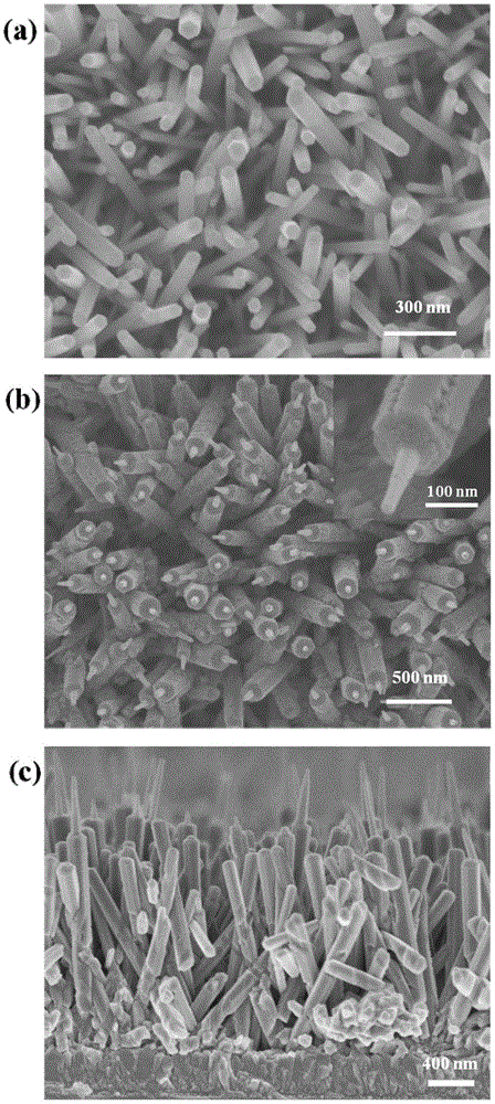 A zinc oxide nano-pencil array electrode and its preparation method and application