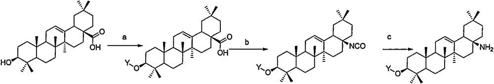 Novel oleanolic acid derivatives, and preparation method and application thereof